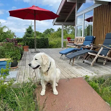 15535-farevejle-uglelunden-7 *