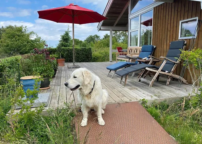 15535-farevejle-uglelunden-7 *